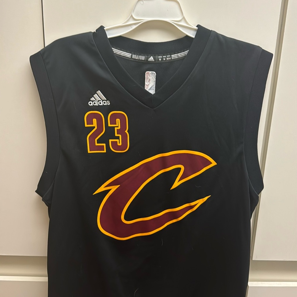 LeBron James Cavs #23